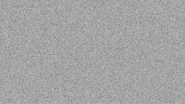 White bitches blacked