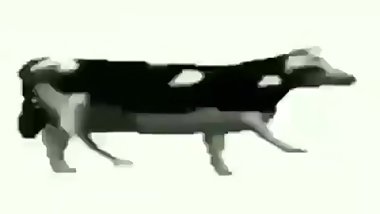 Artin Markarian gets the girls