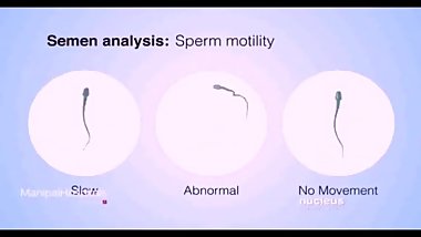 Interracial Colonization & Unionization Tutorial